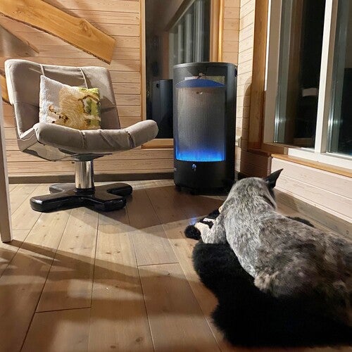 Ett mysigt rum med trägolv och träväggar. En grå fåtölj står bredvid en gasolkamin Blue Belle. På golvet framför värmaren ligger en hund och vilar på en svart matta