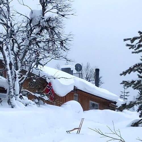 En trästuga täckt av snö ligger i ett vinterlandskap omgivet av snötäckta träd. En norsk flagga hänger utanför huset och himlen är grå och dimmig