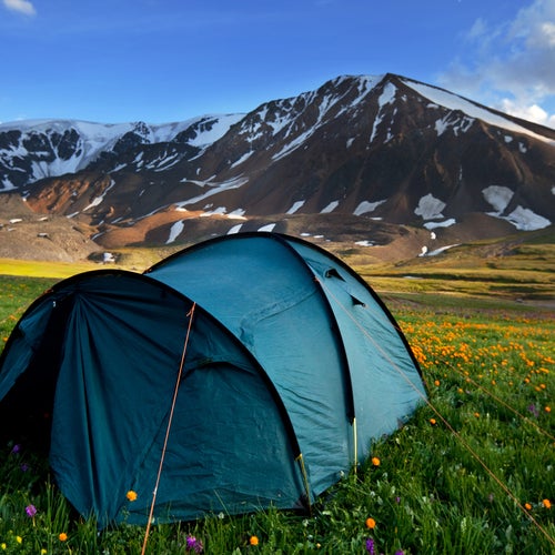 Ett tält står på en blomsteräng framför snötäckta berg