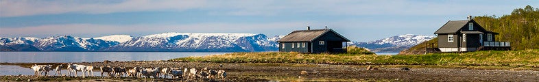 En grupp renar står vid strandkanten framför två mörka stugor. Bakom dem syns en spegelblank fjord och en rad snötäckta berg under en ljusblå himmel
